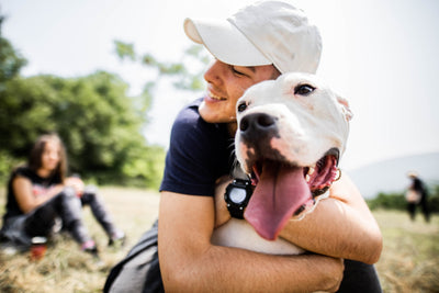 Exercise as a Means to Strengthen the Human-Canine Bond