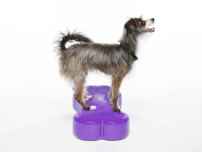 FitPaws K9FITbone Regular Dog Balance Training Platform - Purple