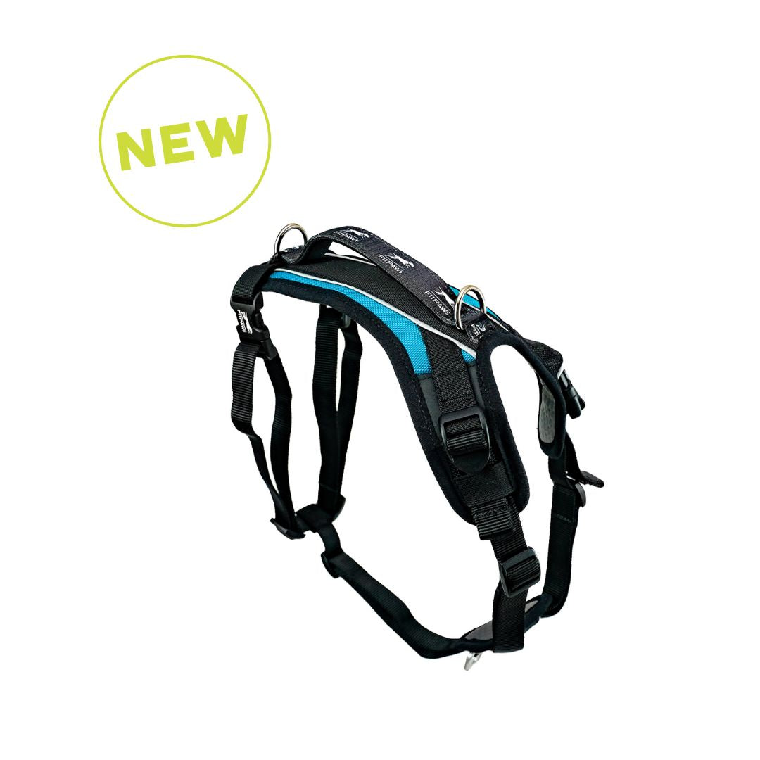 Made To Move Harness – FitPaws