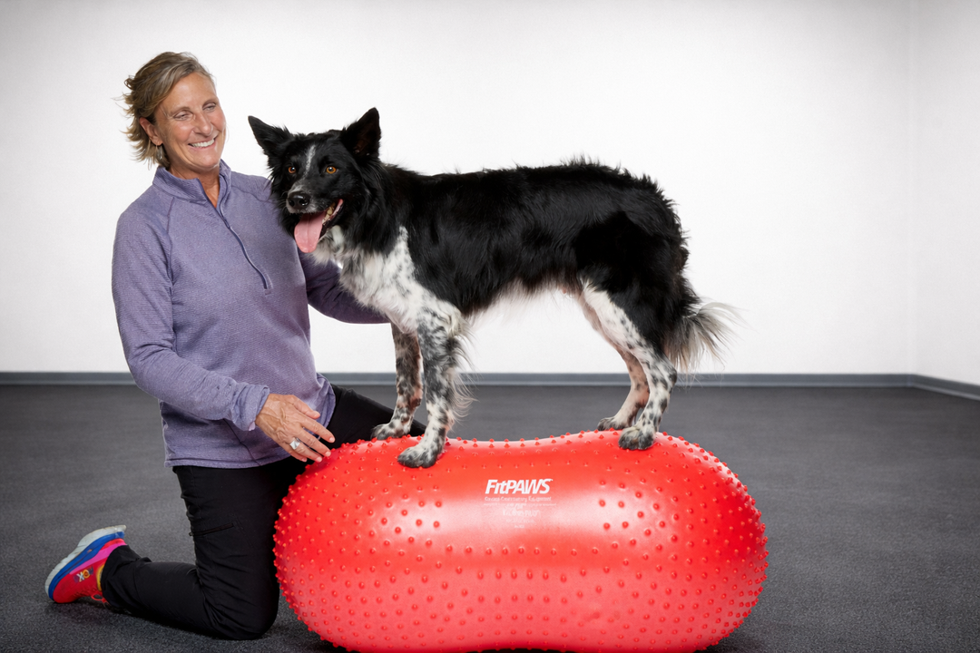 Mini K9FITbone Balance Training Platform (Set of 2) – FitPaws