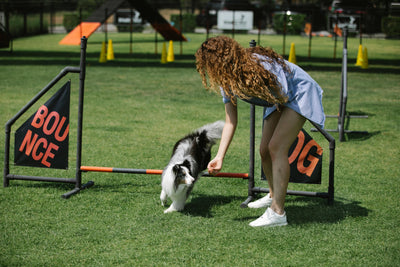 Cross Training: The SAID Principle of Exercise