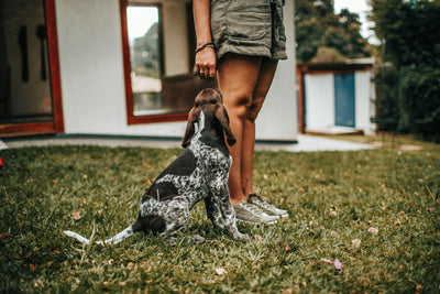 Learn Lateral Walking