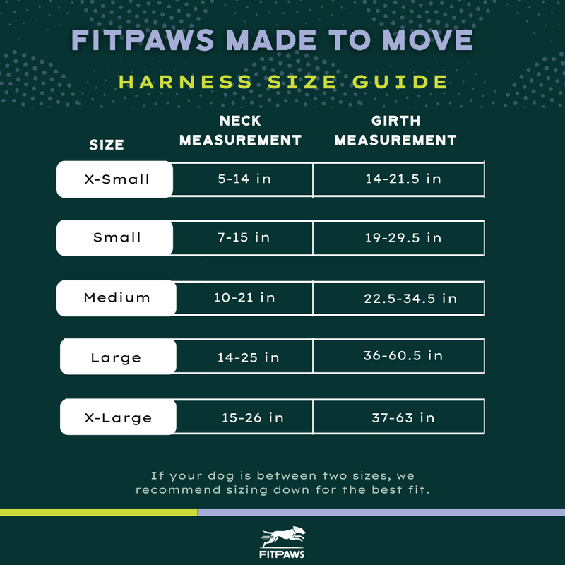 Made To Move Harness