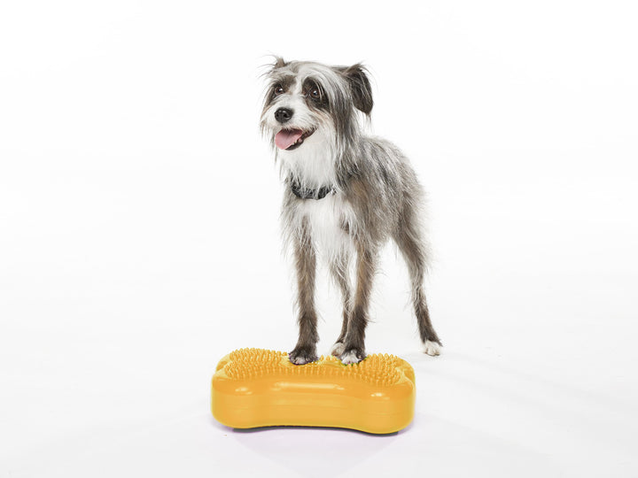 Mini K9FITbone Balance Training Platform (Set of 2)