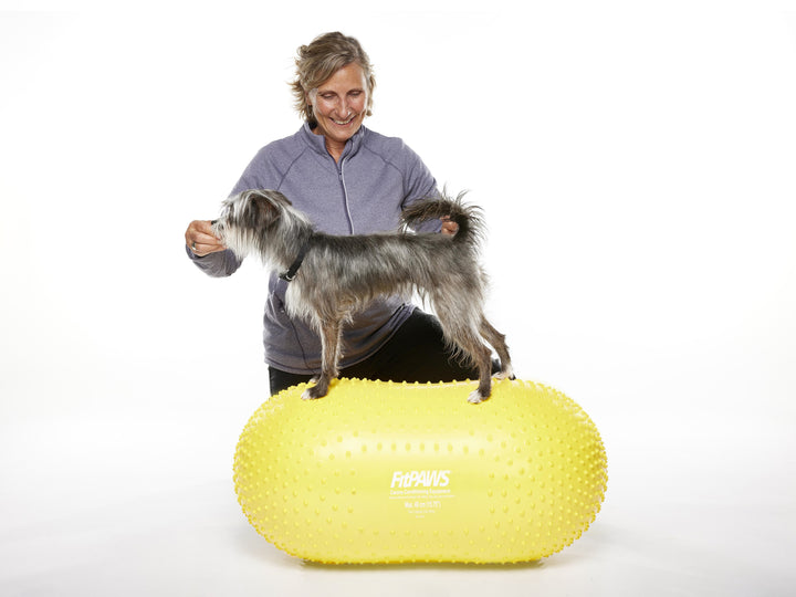 FitPaws Trax Peanut Dog Training Platform (Various Sizes)