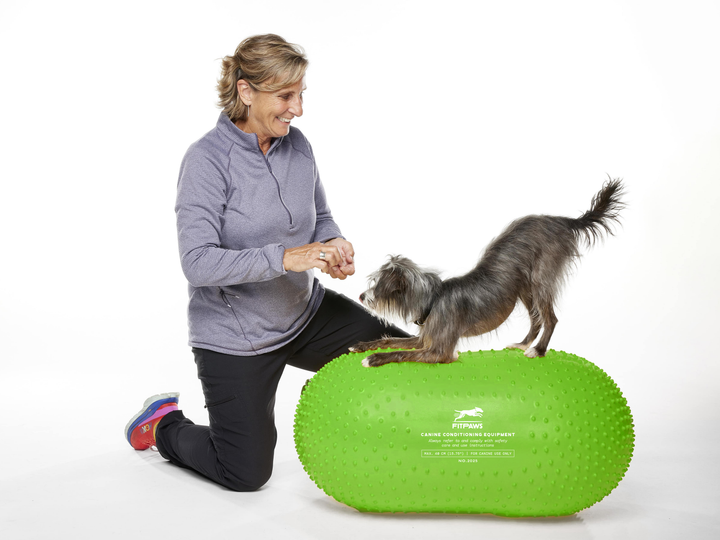 FitPaws Trax Peanut Dog Training Platform (Various Sizes)