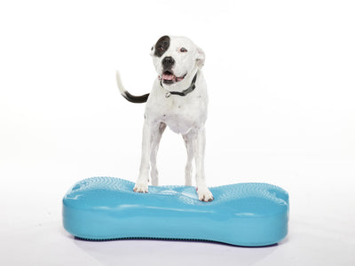 Giant K9FITbone Dog Balance Training Platform Turquoise