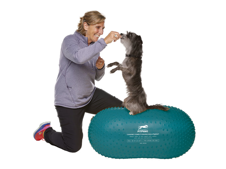 バランスボール　犬　FitPAWS　USA　PawPods パウポッド　アメリカ Best Sellers – FitPaws