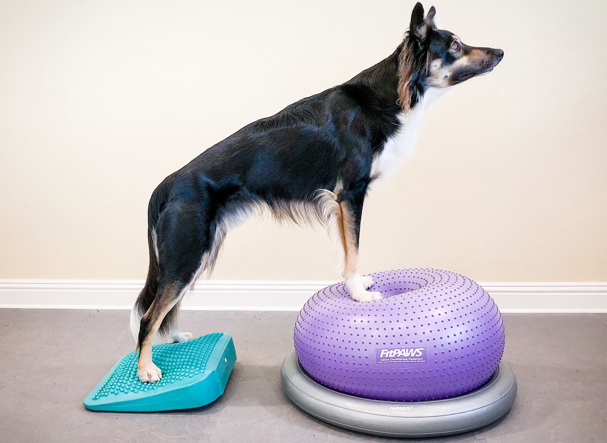 FitPaws Balance Ramp
