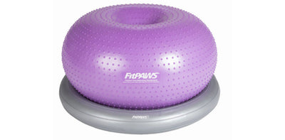 Fitpaws Inflatable Ramp Donut Product Guidelines – FitPaws