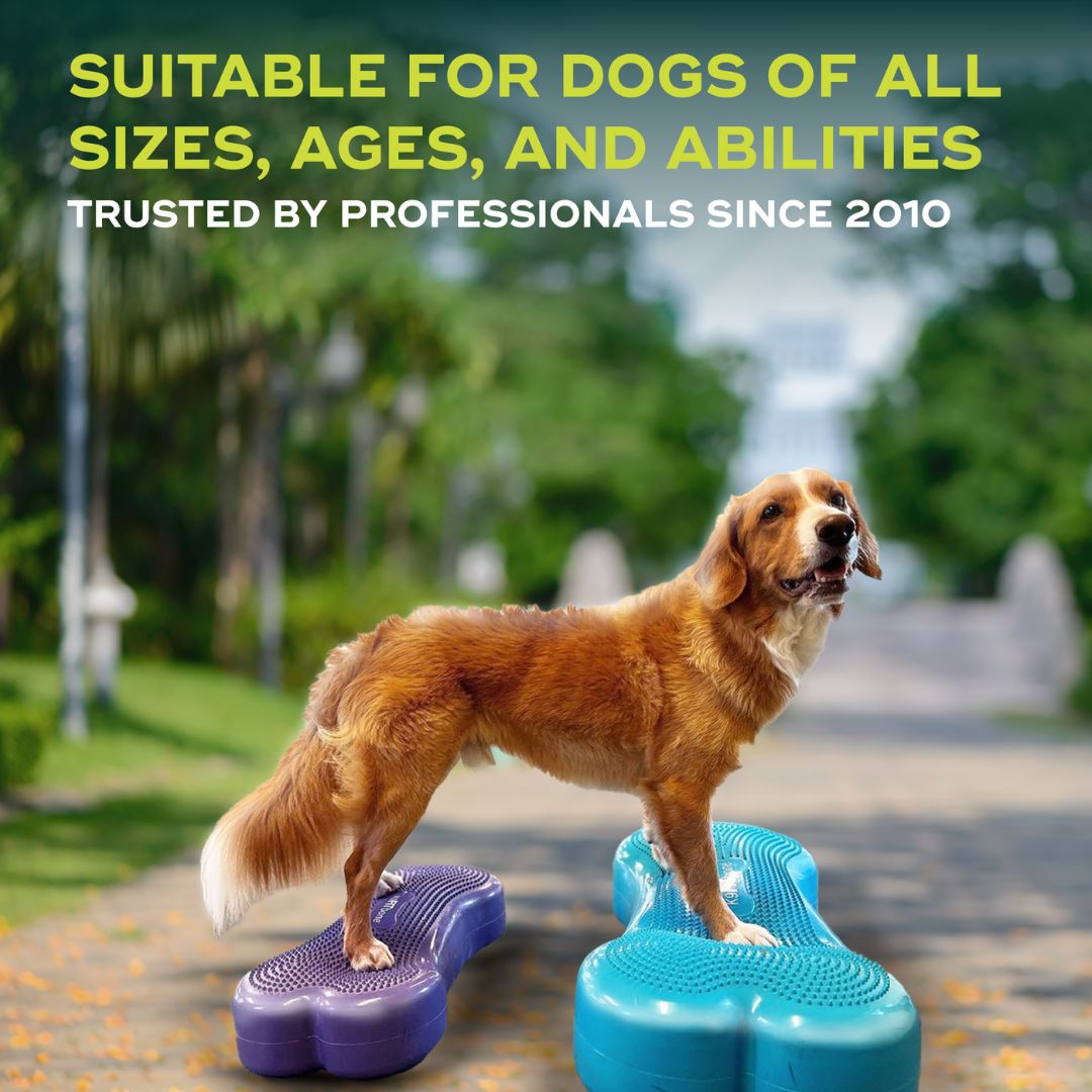 FitPaws-Regular-Fitbone-