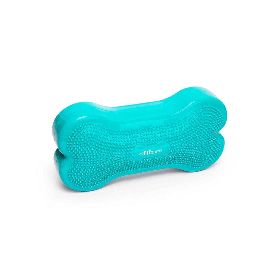 Regular K9FITbone Dog Balance Training Platform – FitPaws