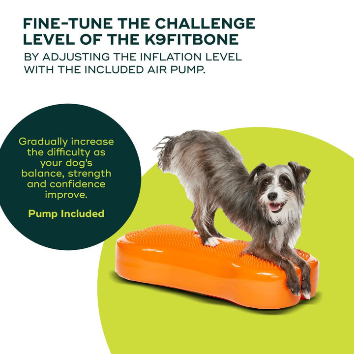 FitPAWS K9FITbone バランスクッション エクササイズ リハビリ Crouton_FitBone_Regular_1131-