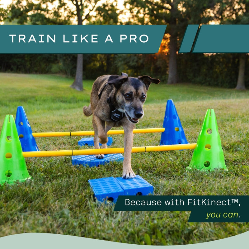 Fitpaws FitKinect™