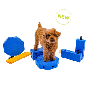 Fitpaws FitKinect™