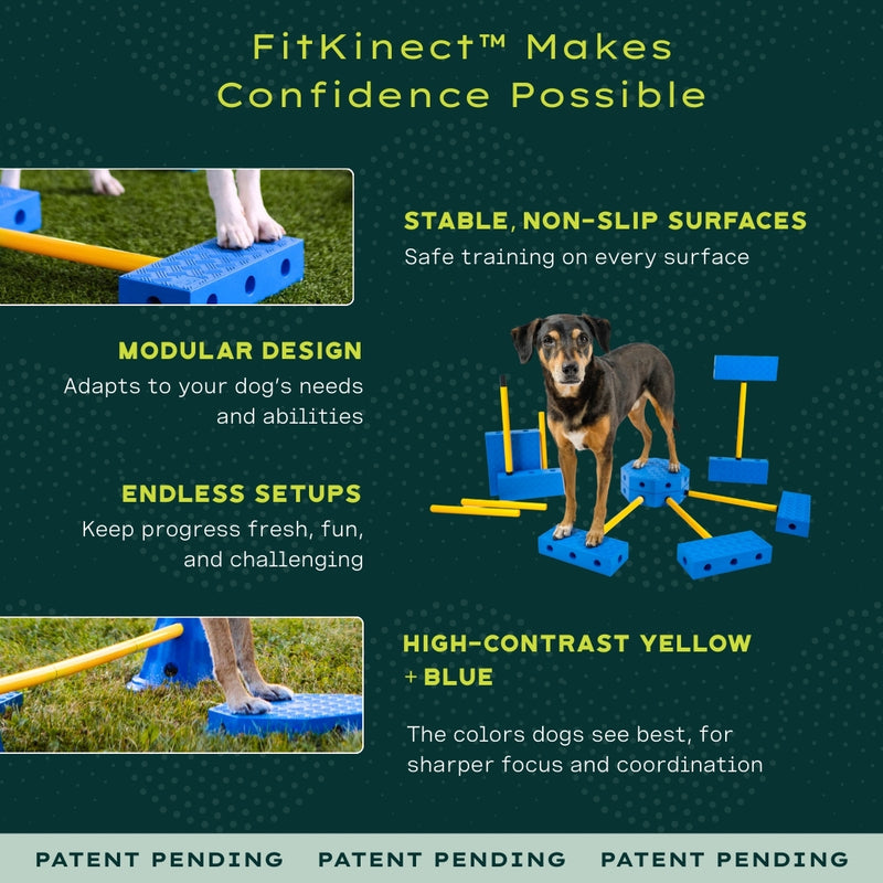Fitpaws Inflatable Ramp FitPaws FitKinect™