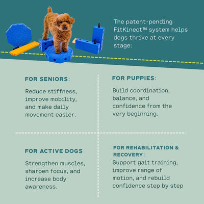 Fitpaws FitKinect™