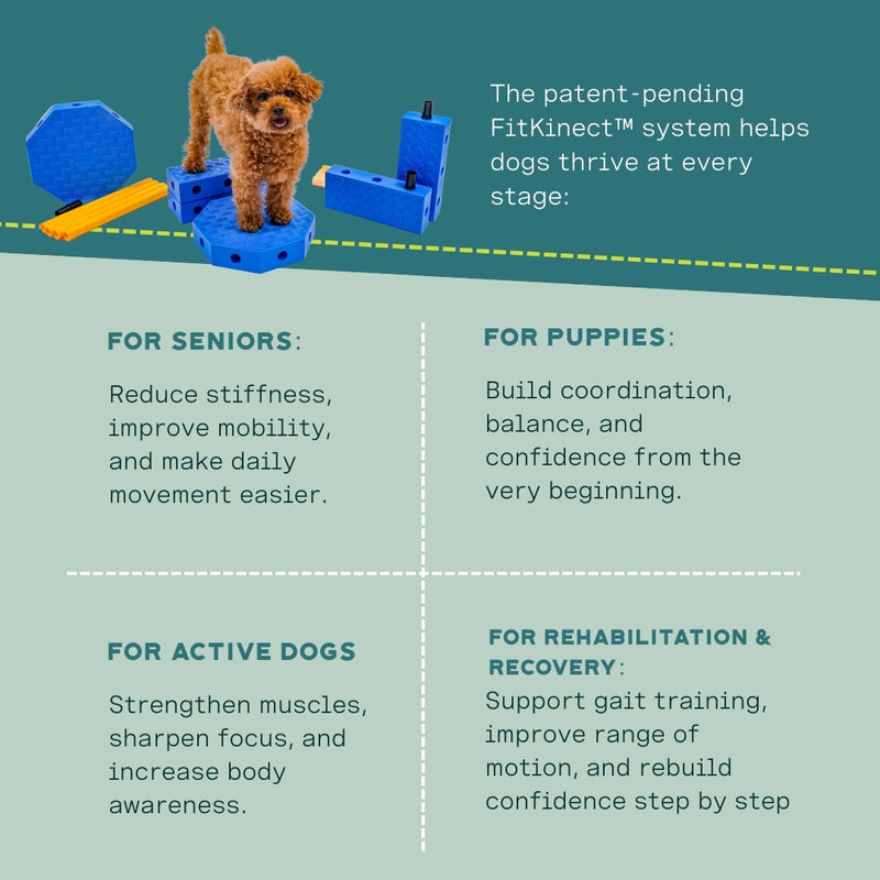 Fitpaws FitKinect™