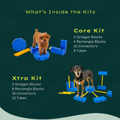 Fitpaws FitKinect™