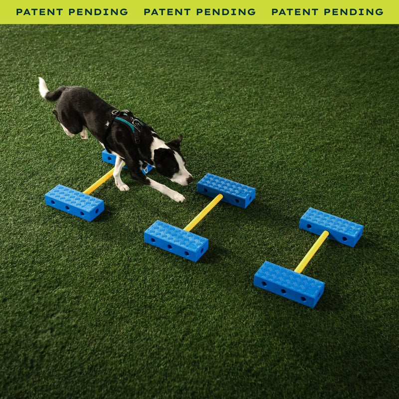 Fitpaws FitKinect™