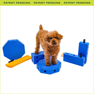 FitPaws FitKinect™