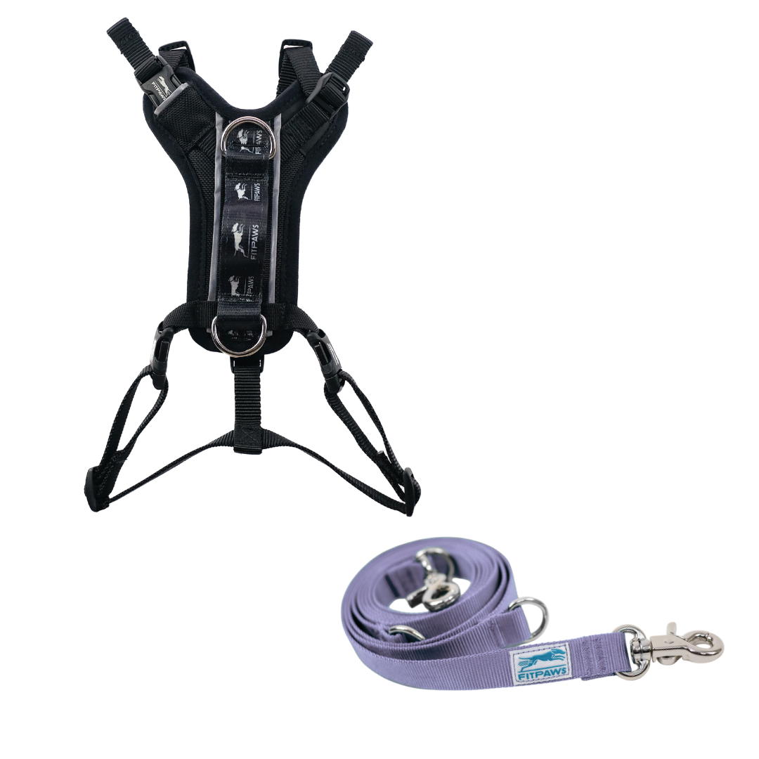 FitPaws Made To Move Harness and Leash