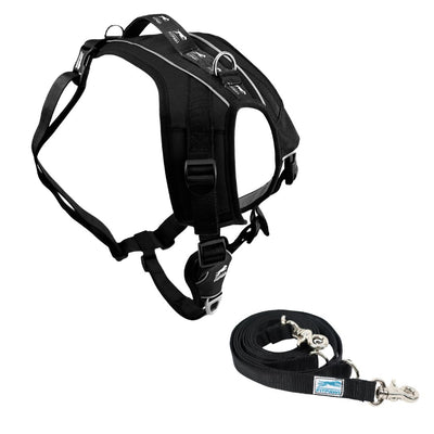 FITPAWS MADE TO MOVE HARNESS AND LEASH