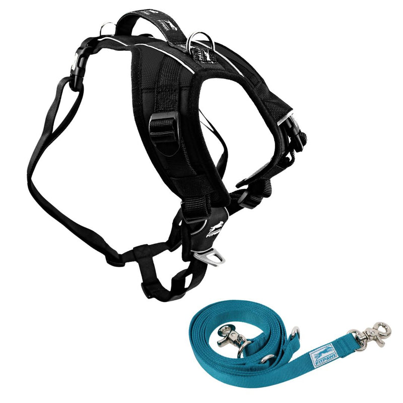 FITPAWS MADE TO MOVE HARNESS AND LEASH