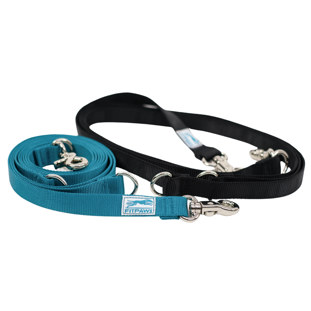 Trax Dog Leash With Belt Dog Walking Belt Non-stop Dogwear CaniX