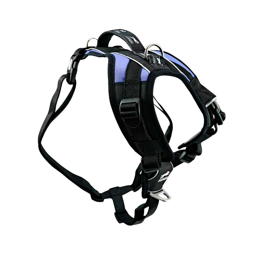 Made To Move Harness – FitPaws