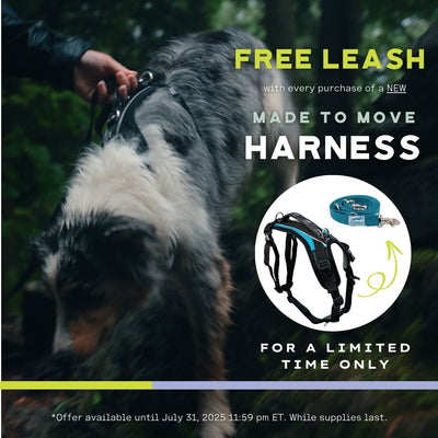 FITPAWS MADE TO MOVE HARNESS AND LEASH