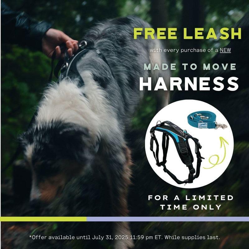 FITPAWS MADE TO MOVE HARNESS AND LEASH