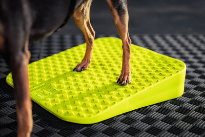 FitPaws Balance Ramp