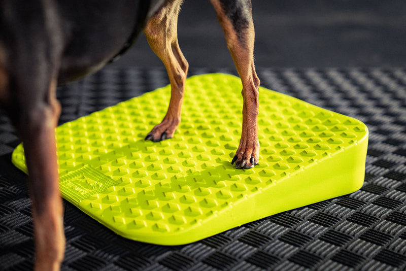 FitPaws Balance Ramp