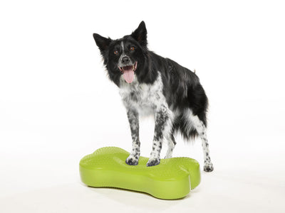 FitPaws K9FITbone Regular Dog Balance Training Platform - Green