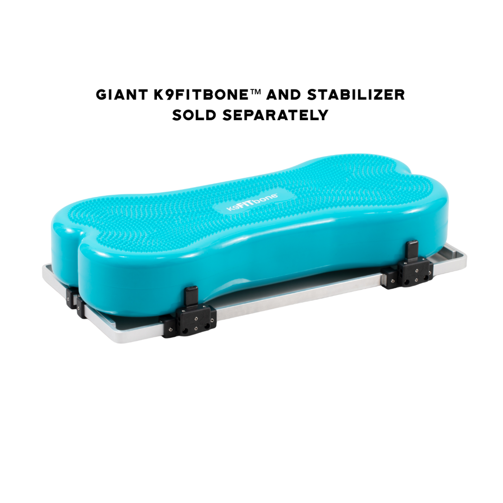 Best Sellers – FitPaws