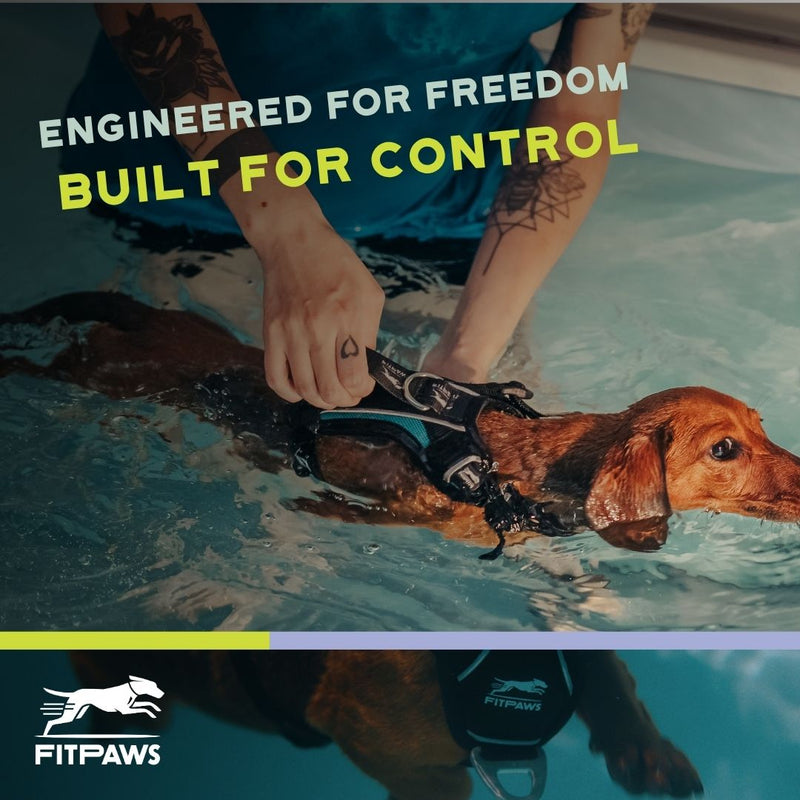 FITPAWS MADE TO MOVE HARNESS AND LEASH