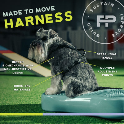 FITPAWS MADE TO MOVE HARNESS AND LEASH