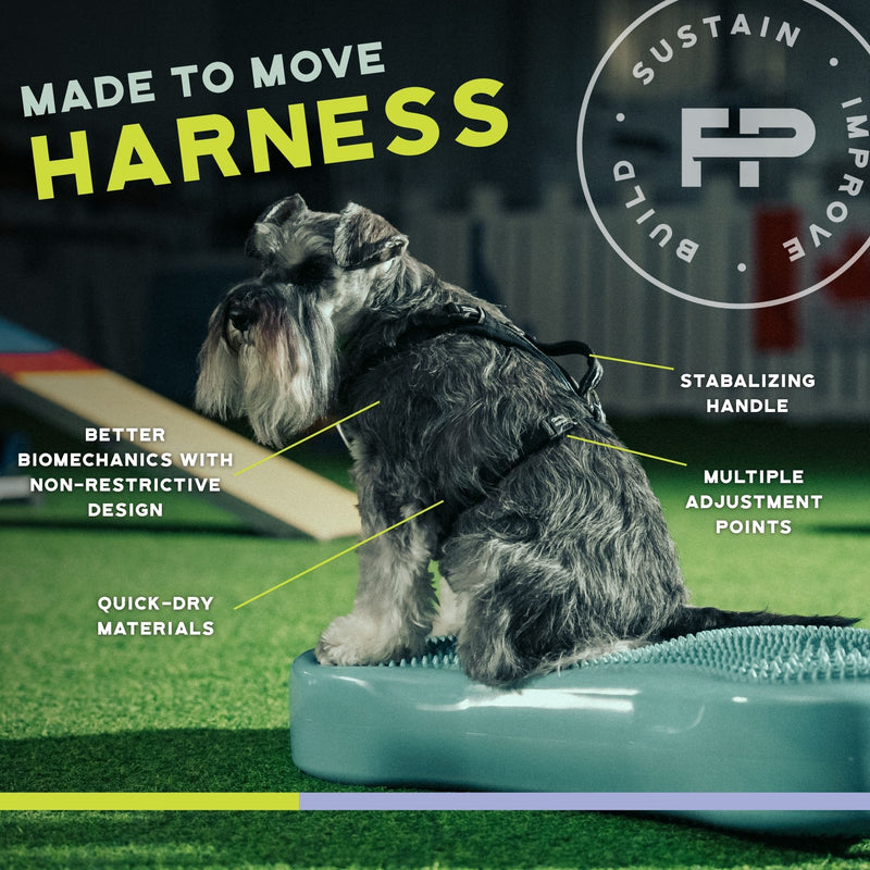 FITPAWS MADE TO MOVE HARNESS AND LEASH