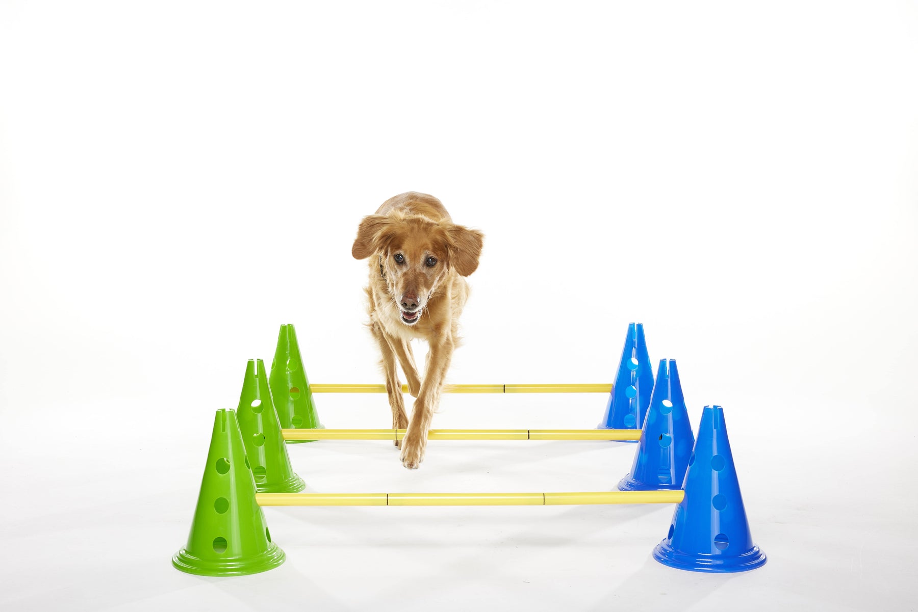 FitPaws K9 Cavaletti Set