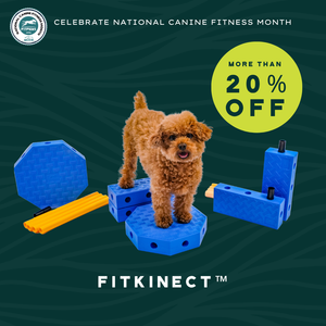 FitPaws FitKinect™