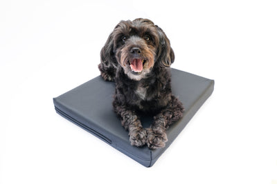 Balance Pad & Grip Cover Bundle