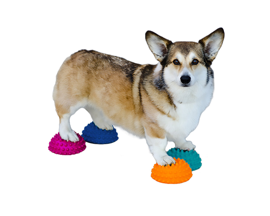 puppy paws rennrad FitPaws Paw Pods, Anti-Skid Bottom (Set of 4)