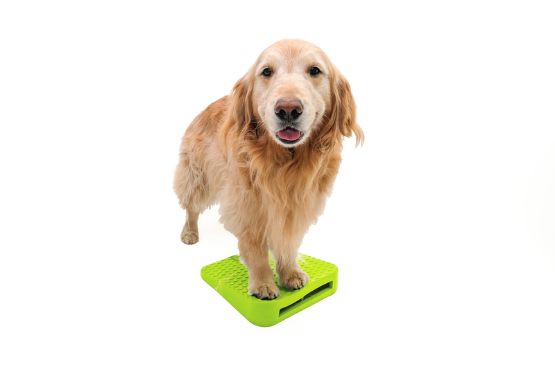 FitPaws Balance Ramp