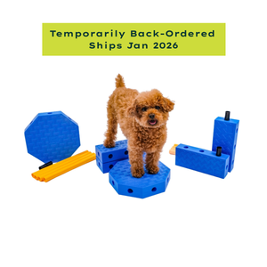 FitPaws FitKinect™