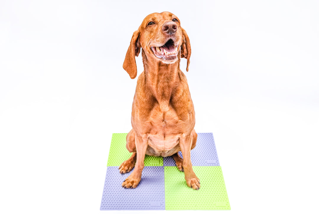 FitPaws TRAX Targets (Set of 2)